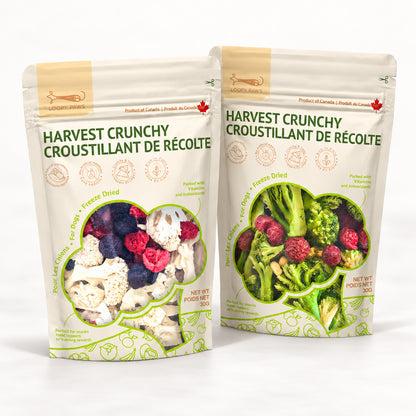 Harvest Crunch – Freeze-Dried Fruit & Vegetable Mixed